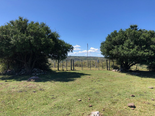Imagen 22 de 22 de Chacra Campo Turistico 5ha Espectacular En Minas Uruguay
