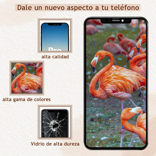 Jkpkj Pantalla Táctil Lcd Compatible Para iPhone 11 Pro Max A2161 A2220