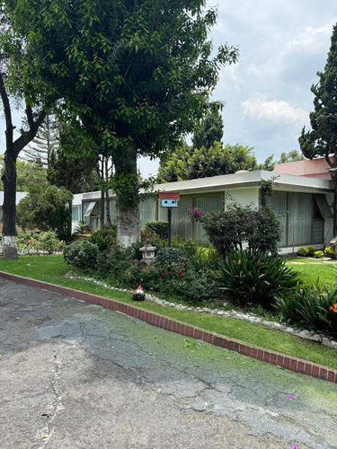 Magnifico Terreno