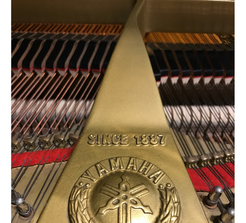 Afinacion Y Restauracion De Pianos Verticales Y De Cola.