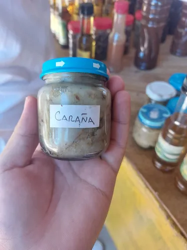 Caraña Del Amazonas