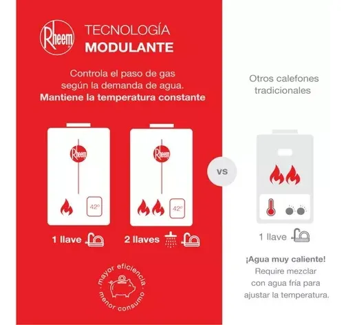 Calefont Rheem Gas Natural 12 Tiro Forzado