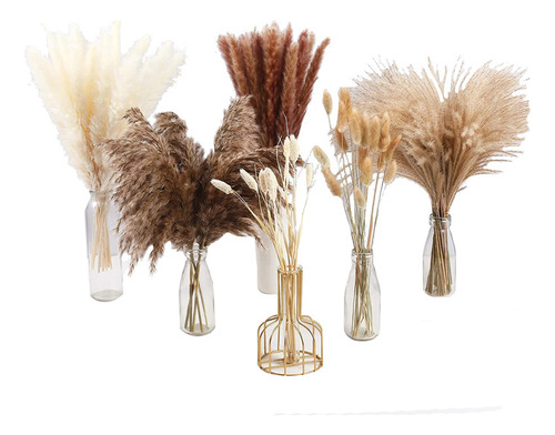 100 Peças De Decoração De Capim De Pampas Secas, Decoração N