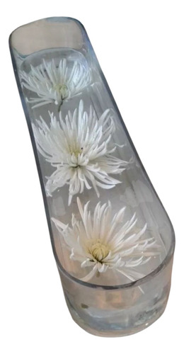 Florero Fanal Y Jardinera De Vidrio 37cm Transparente Florero Fanal