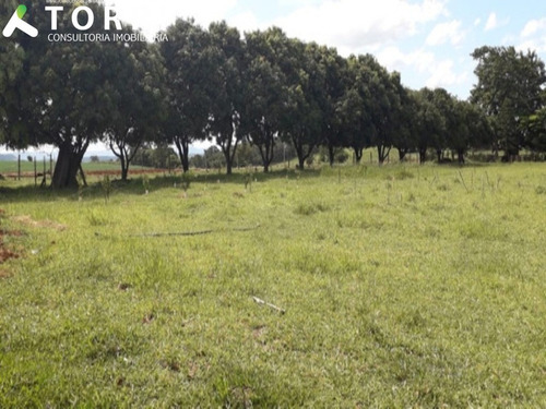 Imagem 20 de 20 de Sítio À Venda Em Cesário Lange/sp - St00084 - 68447401