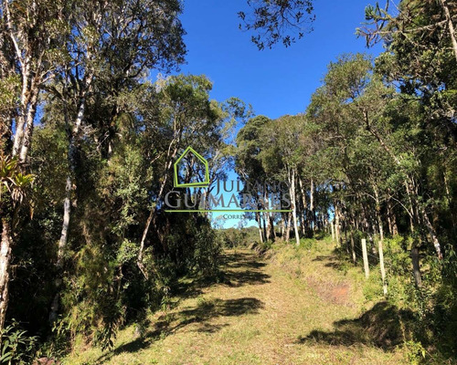 Imagem 1 de 22 de Linda Chácara Com 30.000 M² Á Venda Em Rancho Queimado, Sc - Ch00018 - 69903101