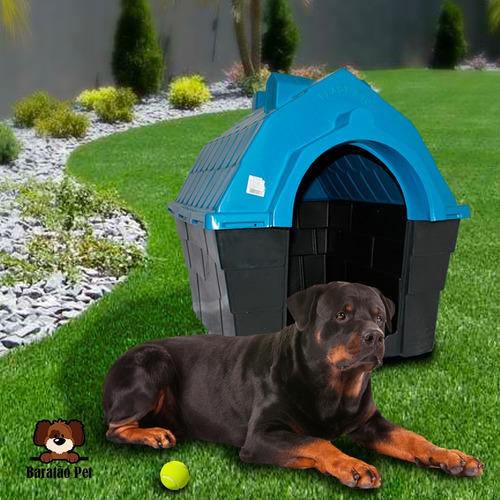 Casa Casinha Para Cães Cachorros Nº5 Porte Extra