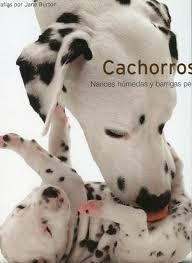 Cachorros. Narices Humedas Y Barrigas Peludas