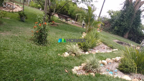 Imagem 10 de 11 de Fazenda - Zona Rural - Ref: 5086 - V-mta5086