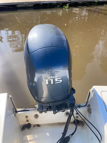 Regnicoli Mistic 4,90 Con Yamaha 115hp 4t 2005 1a Mano