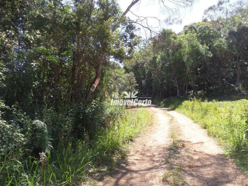 Imagem 12 de 14 de Chácara À Venda, 4000 M² Por R$ 75.000,00 - Rodeio Da Chapada - Balsa Nova/pr - Ch0011