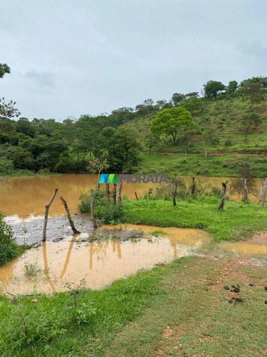 Imagem 13 de 15 de Fazenda - Zona Rural - Ref: 5534 - V-mta5534