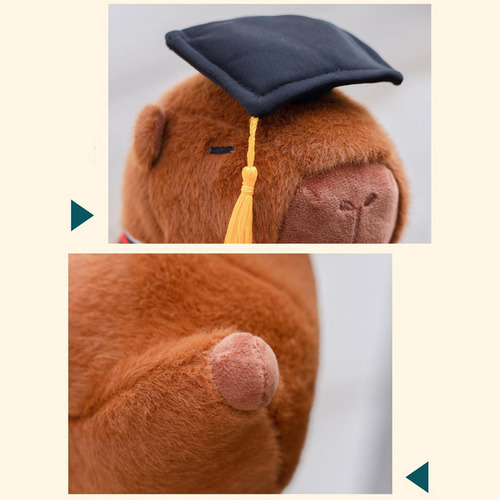 Juguete Capybara Relleno Capybara Graduación Capybara Doll T