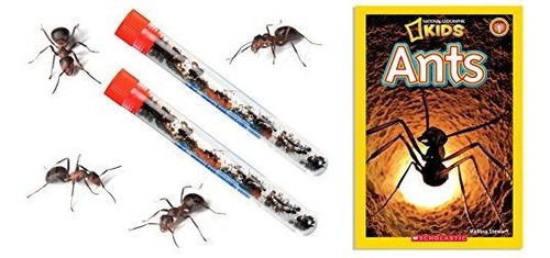Juego Educativo De Cienci Nature Gift 2 Tubos Live Ant Farm 