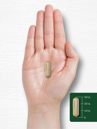 Carlyle Extracto Shiitake 3000mg 200 Cápsulas Sin Ogm