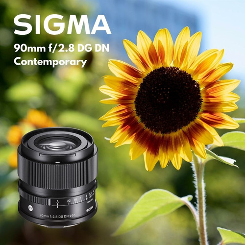 Sigma 90mm F/2.8 Dg Dn Contemporary Sony E - Inteldeals