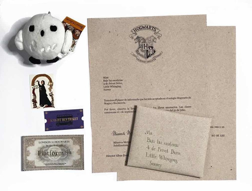 Carta Hogwarts Harry Potter Cumpleaños Amor Hedwig Parche