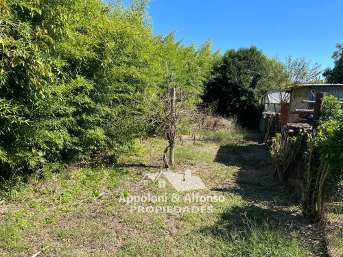Imagen 11 de 14 de Casa En Nueva Helvecia