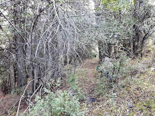 Terreno Fraccion En Venta Ubicado En Villa Lago Gutierrez, Bariloche