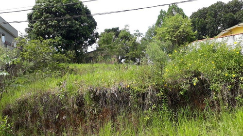 Imagem 10 de 12 de Terreno Para Venda Em Barra Mansa, Moinho De Vento - 0044_1-1676989