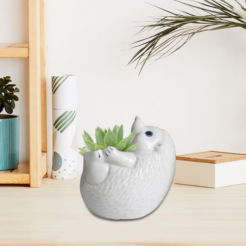 Decoración De Macetas De Flores En Forma De Hedgehog White