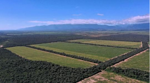 Campo De 838 Has En El Acheral - San Pedro - Pcia. De Jujuy