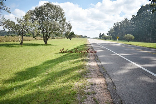 Imagen 1 de 12 de Venta Chacra En San Carlos, Ruta 9
