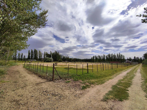 Imagen 4 de 10 de Lote En Venta En Cervantes