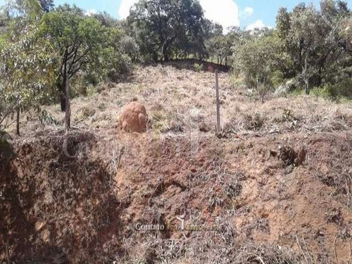 Imagem 8 de 8 de Terreno Bosque Dos Eucaliptos Atibaia - 1.237m² - Te0032-1