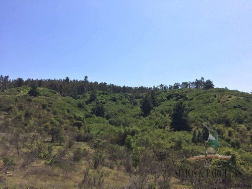 F-190 Valle Alegre, Quintero, 20.000m2