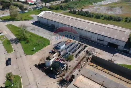 Se Arrienda Bodega 2.000 M2 Ex Iansa Linares