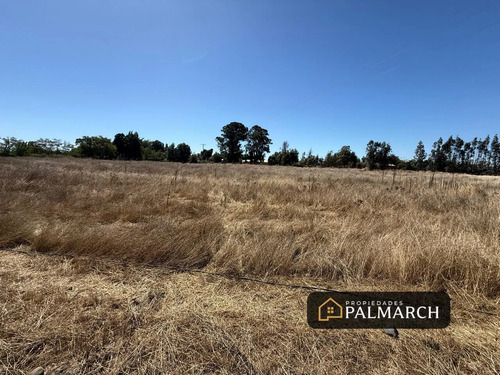 Parcelas En Venta 5000m2 Camino A Cato Chillán
