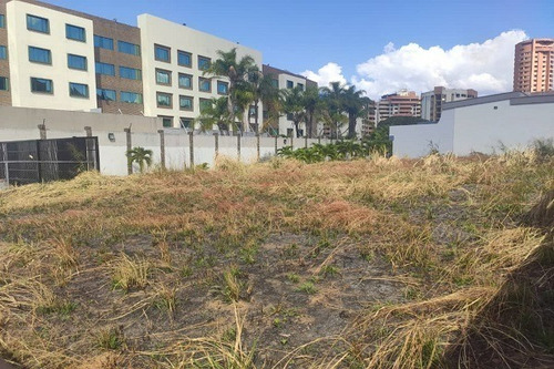 Imagen 14 de 16 de Venta De Terreno En Mañongo, Detras De Lidohotel,133219 Mp