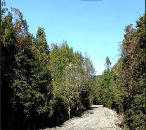 Imagen 3 de 23 de Agrícola En Venta En Puerto Montt