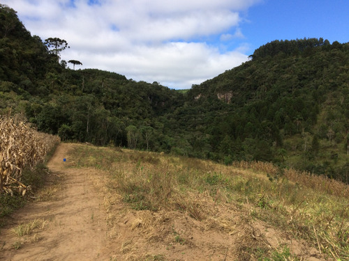 Terreno De Mata Nativa Com 44.100 M2 Verdadeiro Paraíso Para Os Amantes Da Natureza