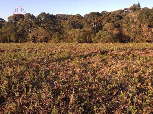Imagem 2 de 8 de Terreno À Venda, 20000 M² Por R$ 450.000,00 - Areia Branca - Mandirituba/pr - Te0139