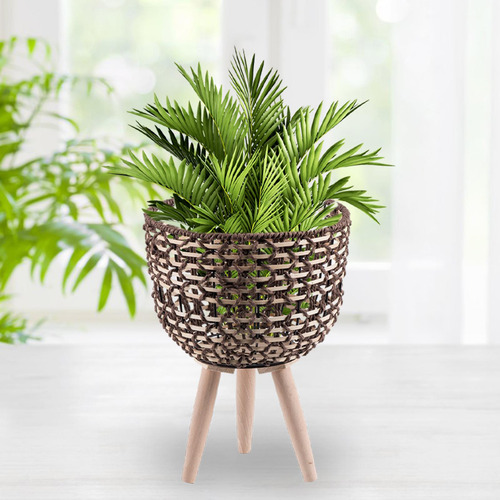 Soporte De Planta De Cesta Tejida Con Exhibición Estilo A S