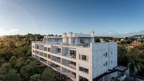 Imagem 2 de 30 de Apartamento - Ap00264 - 69369696