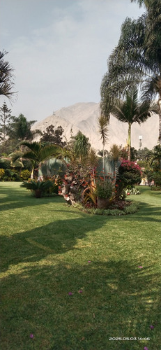 Palmeras De Condorhuaca Eventos Full Day 3000mts2.