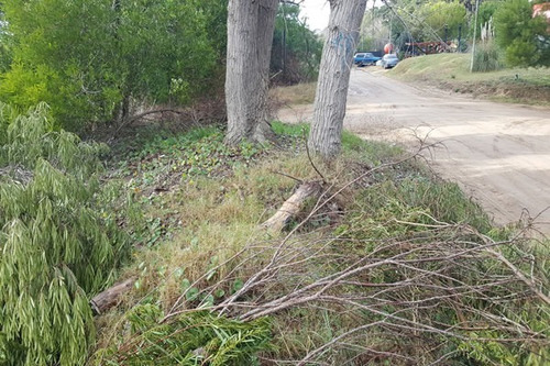 Imagen 3 de 5 de Lote Ubicado En Las Gaviotas Esquina Sobre Elevado Y Forestado