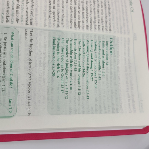 Imagen 7 de 9 de Biblia Para La Predicación En Inglés Kjv Imitacion Fucsia