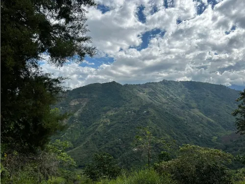 Se Vende Finca En Barragán