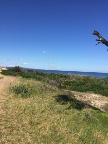 Imagen 9 de 10 de Oportunidad De Terreno Frente Al Mar En Parque Del Plata Sur