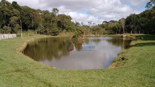 Imagem 12 de 22 de Chácara Com 4 Dormitórios, 21793 M² - Venda Por R$ 2.000.000,00 Ou Aluguel Por R$ 6.000,00/mês - Borda Do Campo - Piraquara/pr - Ch0005