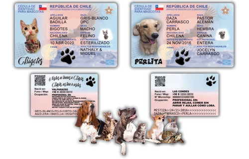 Cédula Carnet Mascota De Pvc | Perros | Gatos |