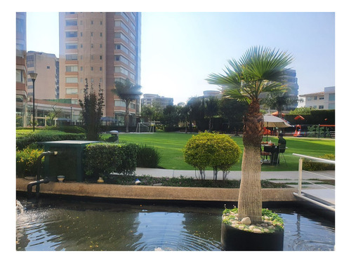 Imagen 12 de 30 de Departamento En Renta En Reforma Laureles Lomas Chamizal