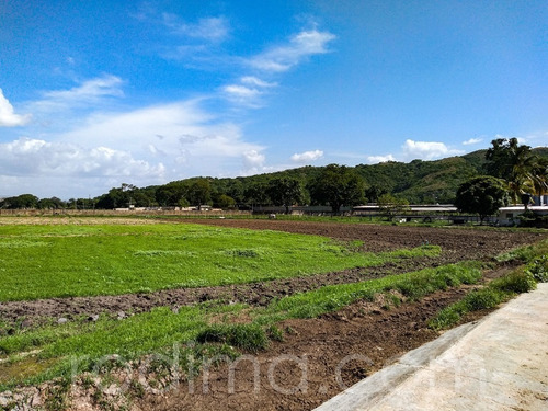 Imagen 22 de 29 de Granja Agrícola Y Porcina Turmero, De 5.7 Hectáreas 04123465023