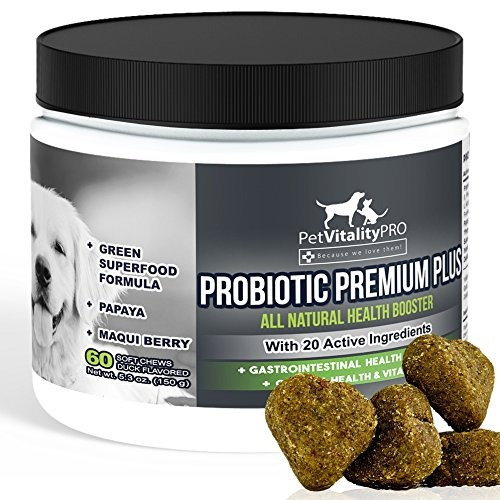 Probióticos Para Perros Con Enzimas Digestivas Naturales Pro