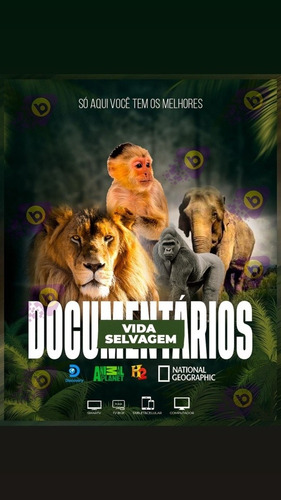 Imagem 3 de 5 de Tv Via Internet R$35