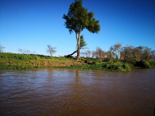 Imagen 24 de 29 de Campo De Isla Ganadero, 2.000 Has Sobre El Paranacito